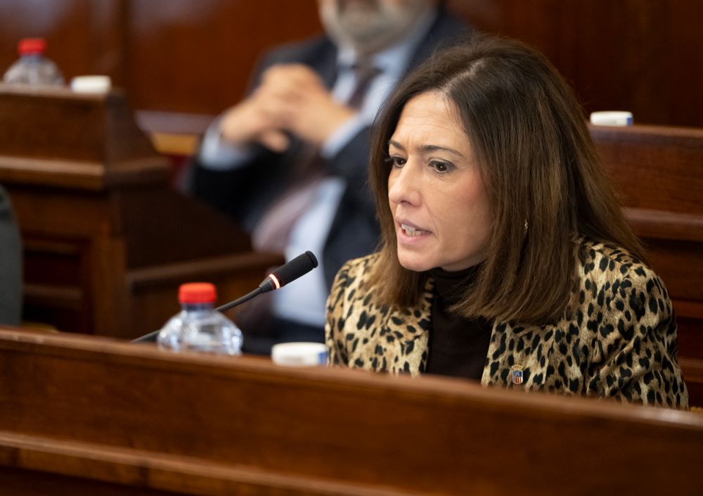 La Diputació avança en la transformació digital del territori amb l'aprovació de l'Estratègia Provincial d'IA