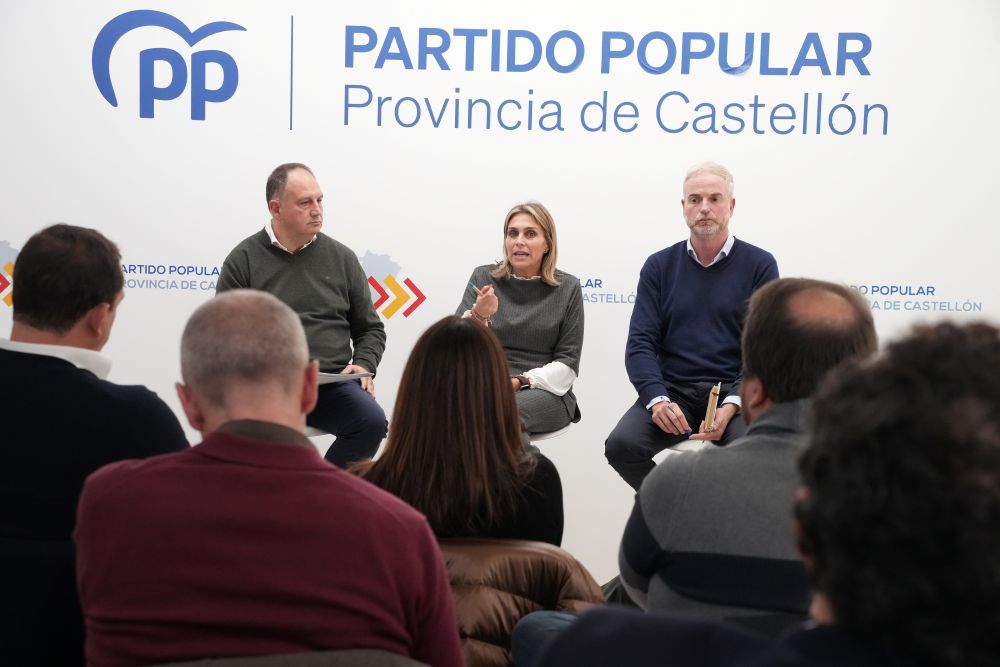Marta Barrachina lidera als parlamentaris del PP en la defensa de la província davant l'abandó de Sánchez