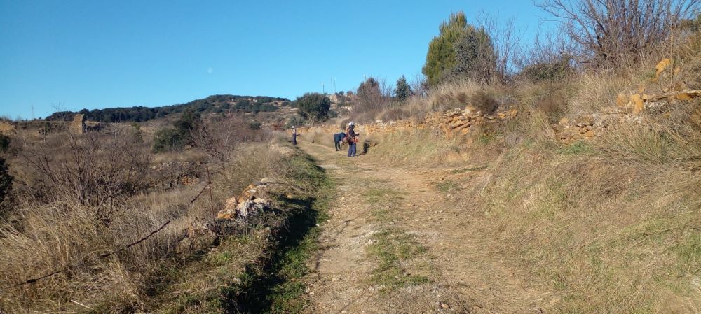 Benassal reforça el desbrossament i el manteniment de camins i barrancs
