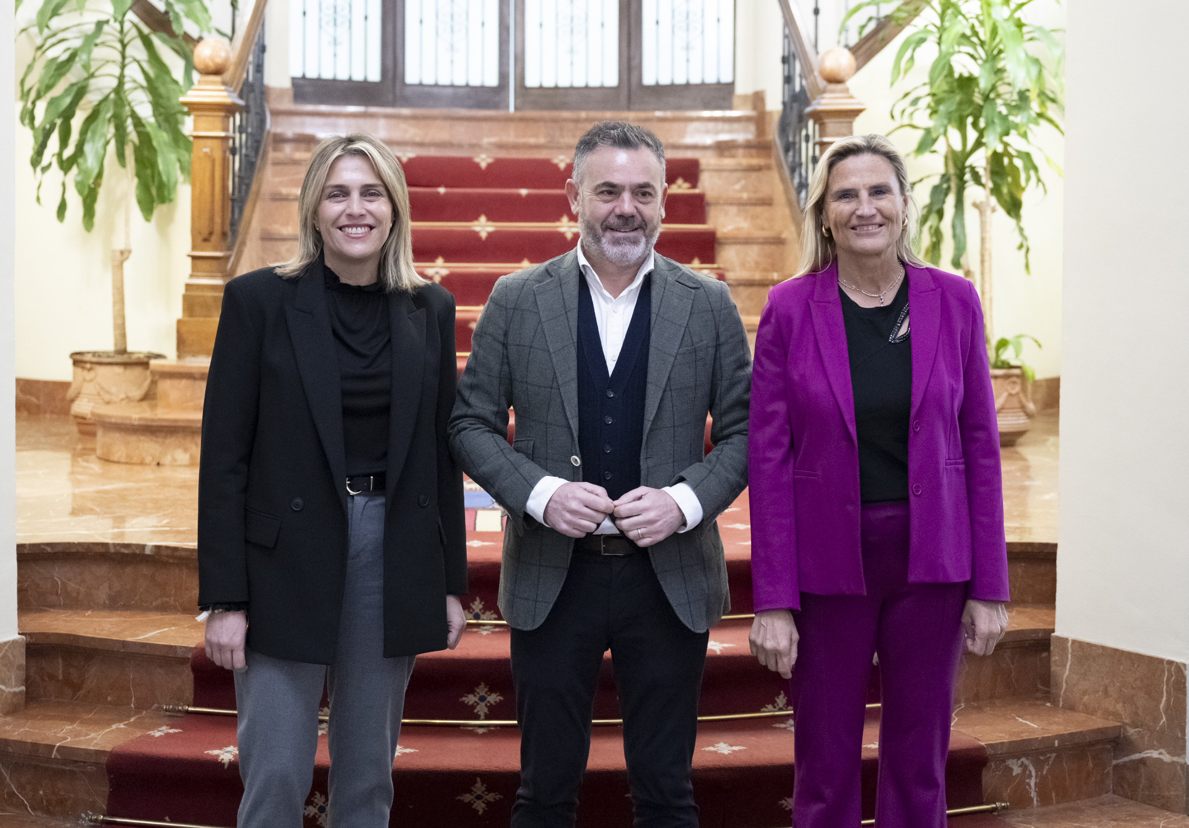 Barrachina presenta al Consell el pla Futur Província per a atraure inversions i impulsar el teixit econòmic