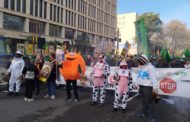 Més de 2.000 agricultors i 200 tractors reclamen a València «un futur per al camp»