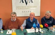 AVA-ASAJA quantifica en 340 milions les pèrdues d'un any agrari 2025 «molt difícil»