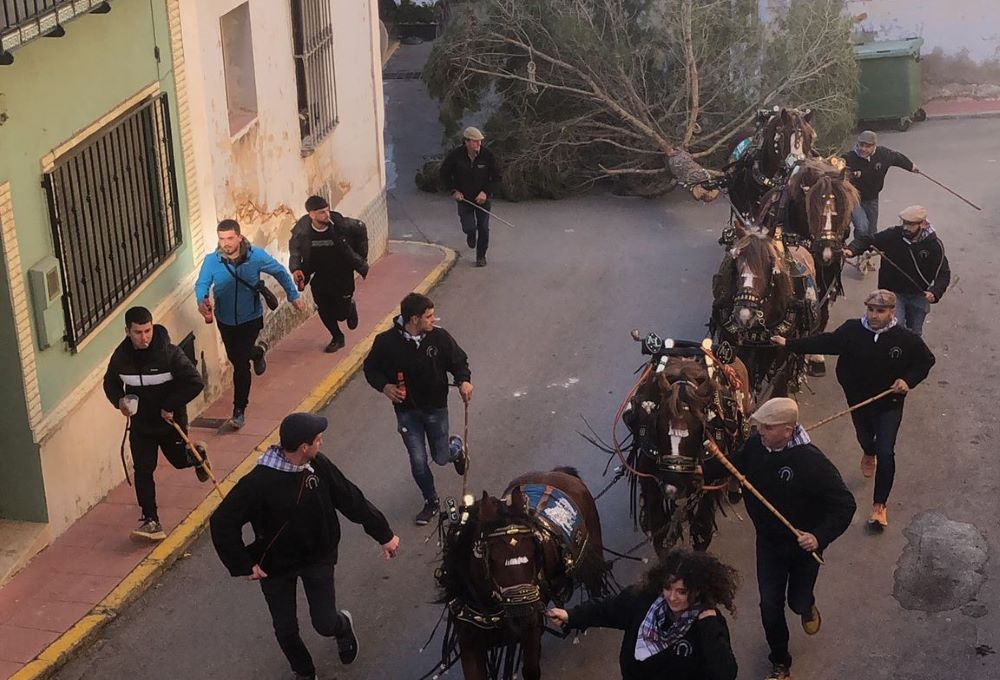Tot llest per a la celebració de Sant Antoni a Santa Magdalena