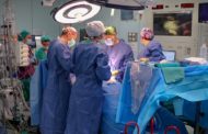 La Fe fa 10 trasplantaments de diferents òrgans en 24 hores