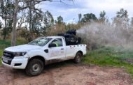 La Diputació avança la campanya de control i prevenció de mosquits per a evitar la seua presència
