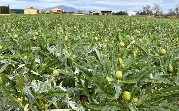 Agricultura amplia en 810.000 euros les ajudes als consells reguladors i òrgans de gestió de figures de QD