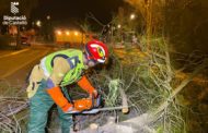 Emergències recomana extremar les precaucions davant el temporal de vents a Castelló