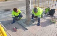 Finalitza el taller d’ocupació Vinaròs Accessible III