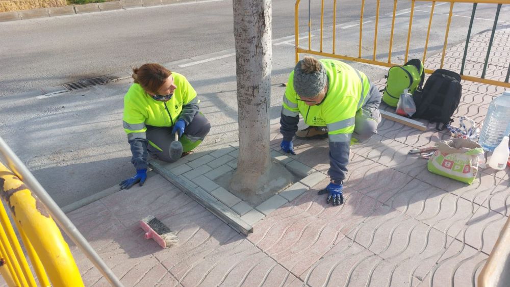 Finalitza el taller d’ocupació Vinaròs Accessible III