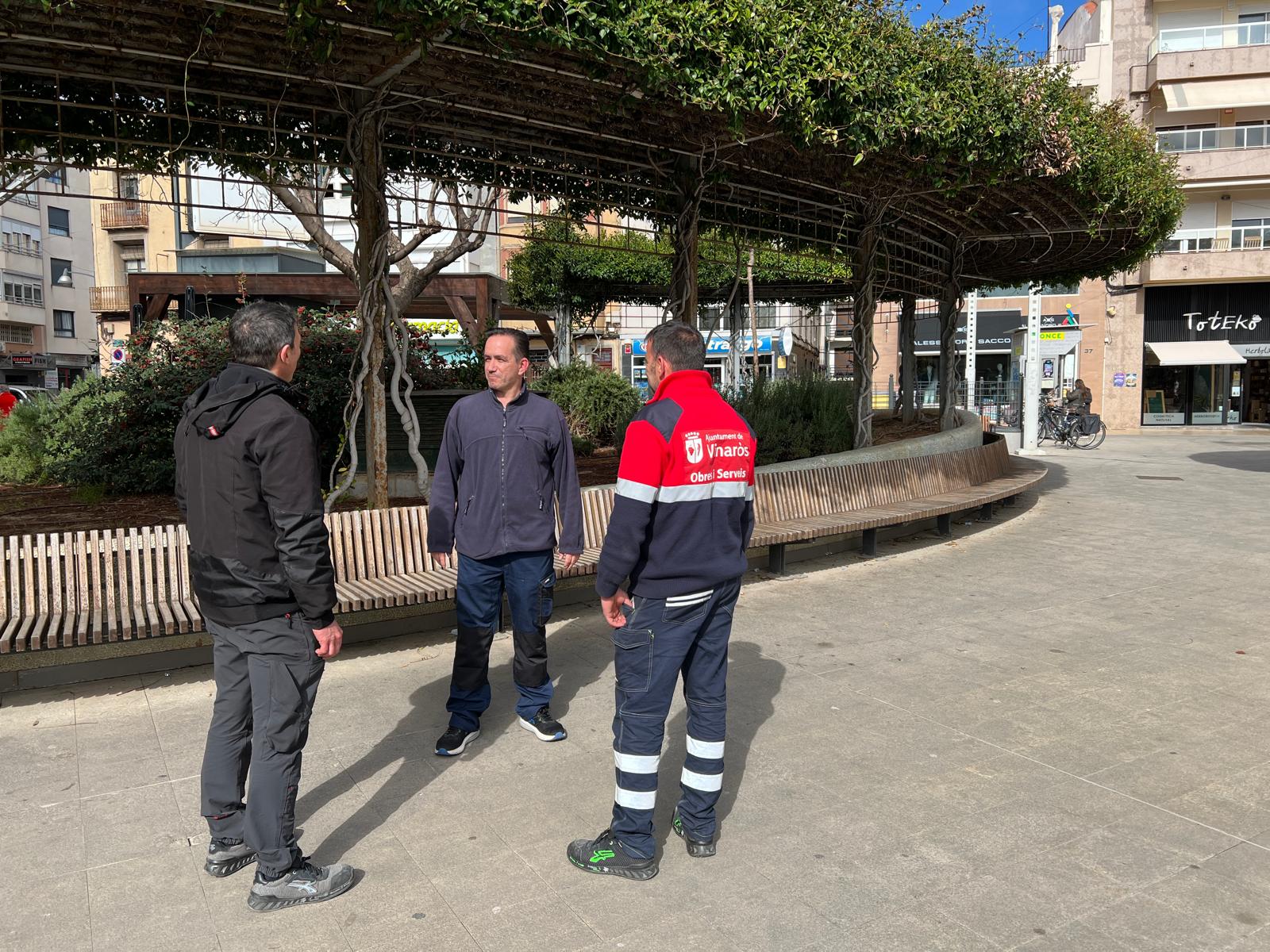 La Regidoria d'Obres i Serveis de Vinaròs farà la millora i manteniment de les pèrgoles de la plaça La Mera