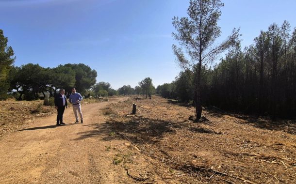 El Pla Emerge permetrà a 328 pobles contractar 1.700 persones per a previndre incendis forestals