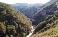 La Generalitat recorda la prohibició de l'ús del foc en terrenys forestals durant la Setmana Santa i Pasqua