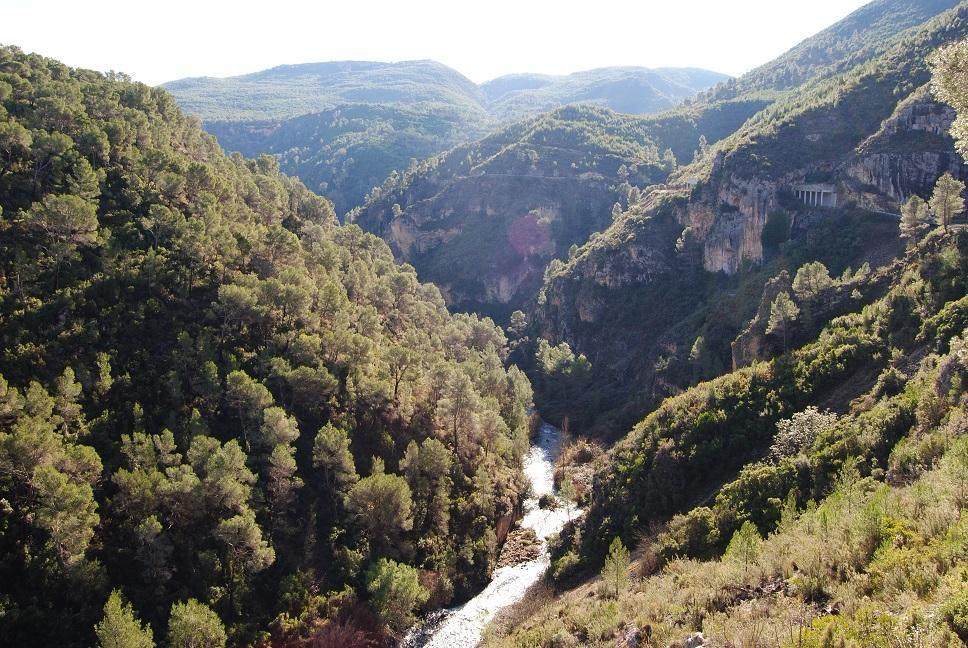 La Generalitat recorda la prohibició de l'ús del foc en terrenys forestals durant la Setmana Santa i Pasqua