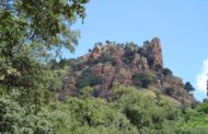 La GVA convoca ajudes perquè els ajuntaments facen accions de prevenció d'incendis i gestió forestal