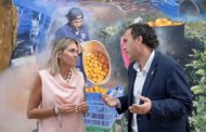 La Diputació incrementa les ajudes per al control poblacional de colònies felines i el benestar animal