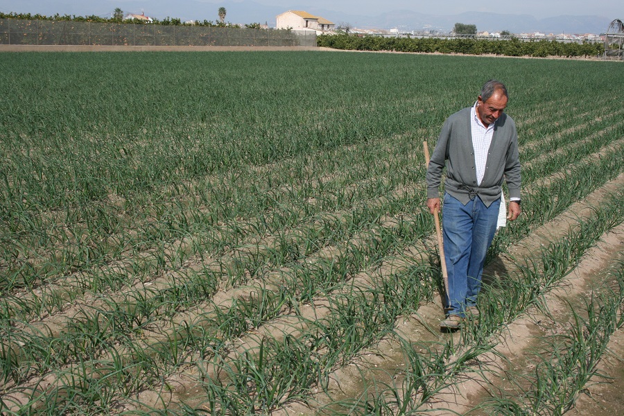 AVA-ASAJA denuncia que el Ministeri deixarà fora a milers d'agricultors de les ajudes a fertilitzants
