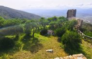 La brigada de mitigació de riscos neteja i desbrossa el Castell Polpís