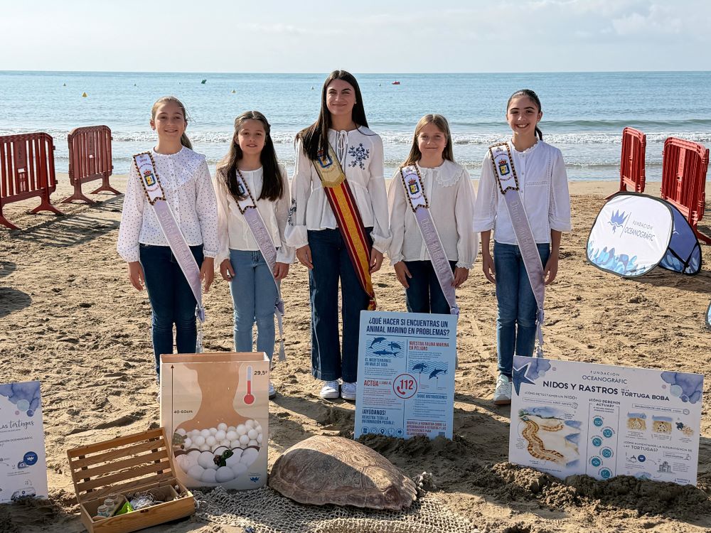 Benicarló retorna a la mar una tortuga rescatada per la Confraria de Pescadors