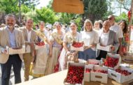 Barrachina posa en valor la riquesa dels productes autòctons en la Fira de la Cirera de La Salzadella