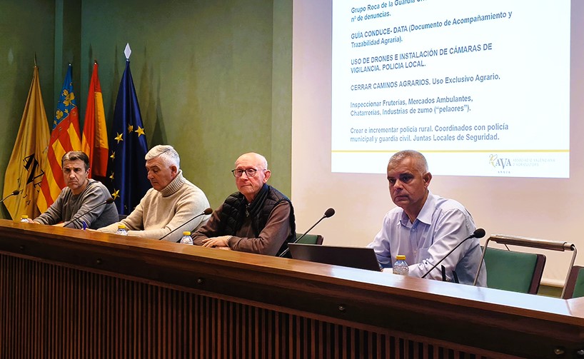 El 90% dels municipis valencians incomplixen la Llei de Consells Locals Agraris