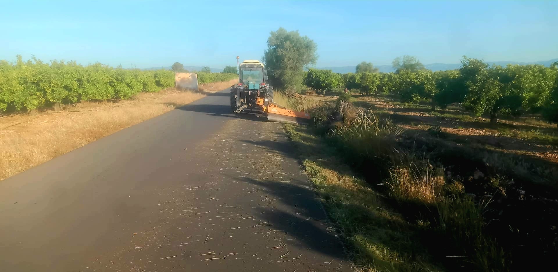 La Regidoria d'Agricultura intensifica els treballs de neteja i desbrossament en els camins rurals de Vinaròs