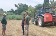 Obres i Serveis de Vinaròs inicia el desbrossament dels barrancs, rieres i zones urbanes