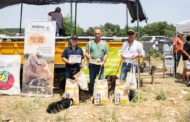 Ares torna a ser seu del concurs de gossos de rabera amb un gran nivell de participació