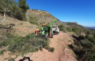 La GVA concedix ajudes a 41 pobles per al manteniment de terrenys forestals i la prevenció d'incendis