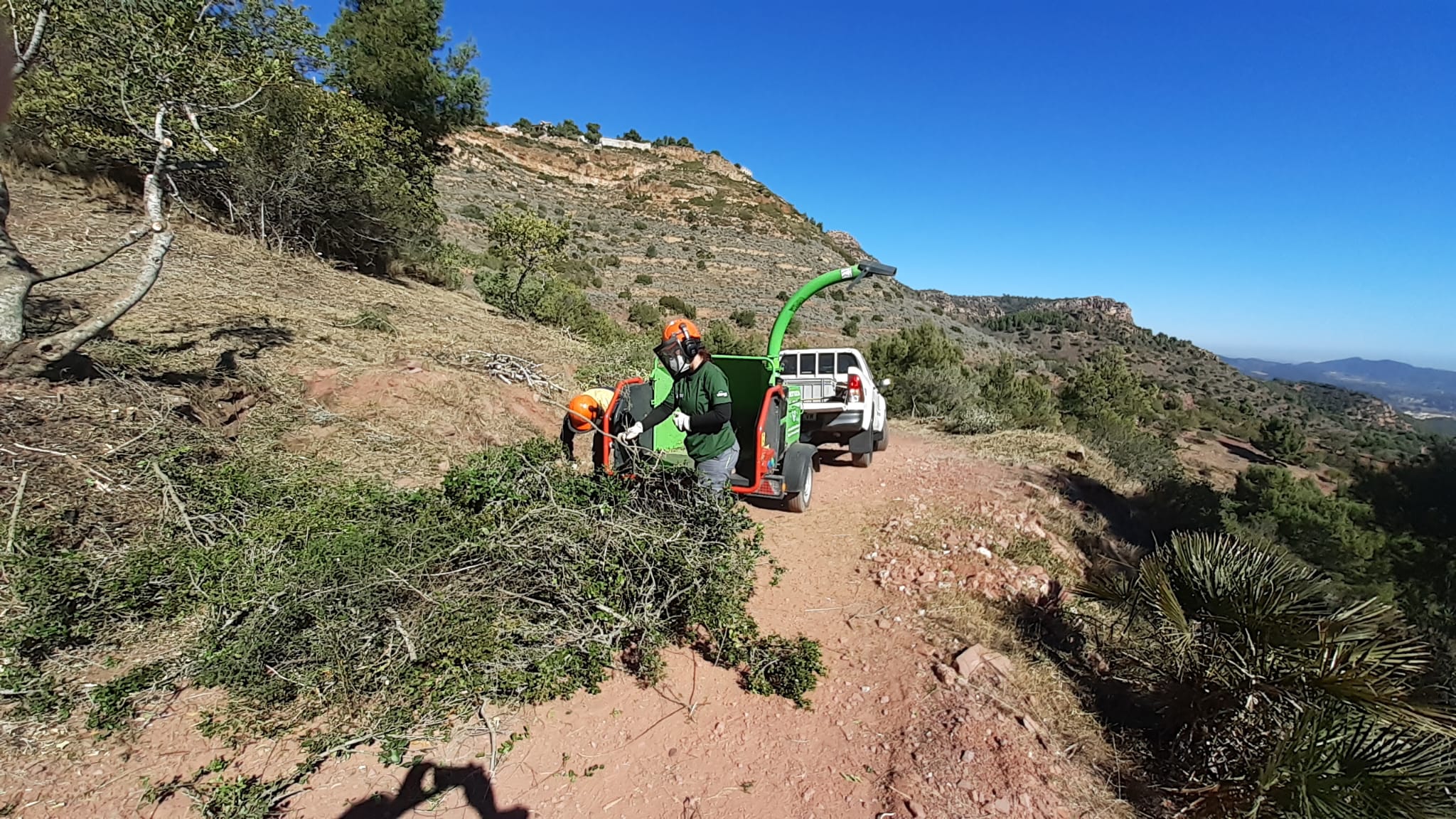 La GVA concedix ajudes a 41 pobles per al manteniment de terrenys forestals i la prevenció d'incendis
