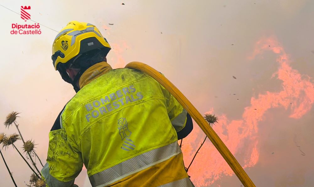 Incendi forestal a Forcall