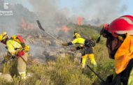 Incendi forestal en la zona del Puig de Benicarló