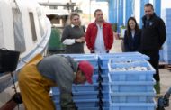 La Diputació reafirma l'aposta per la pesca i recolza la labor de les 5 confraries de pescadors
