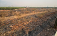 AVA-ASAJA advertix de camps, hivernacles i granges afectades per l'incendi de La Vall d'Uixó