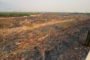 PortCastelló col·labora en el dispositiu d'extinció del foc de la Serra d'Espadà