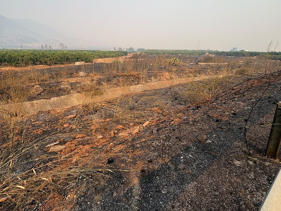 AVA-ASAJA advertix de camps, hivernacles i granges afectades per l'incendi de La Vall d'Uixó