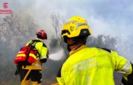Incendi forestal a Catí