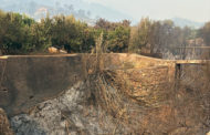 AVA-ASAJA exigix a la CHX netejar barrancs que «han propagat el foc als horts»