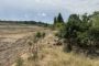 El PSPV-PSOE demana protegir el sòl de les muntanyes cremades abans que les pluges l’arrosseguen