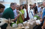 PRESENTACIÓ DE LES JORNADES DEL POLP A CADUF I PEIX DE LLOTJA DE BENICARLÓ 17-09-2026