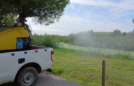 La Diputació intensifica després de les pluges la vigilància i control de les poblacions de mosquits