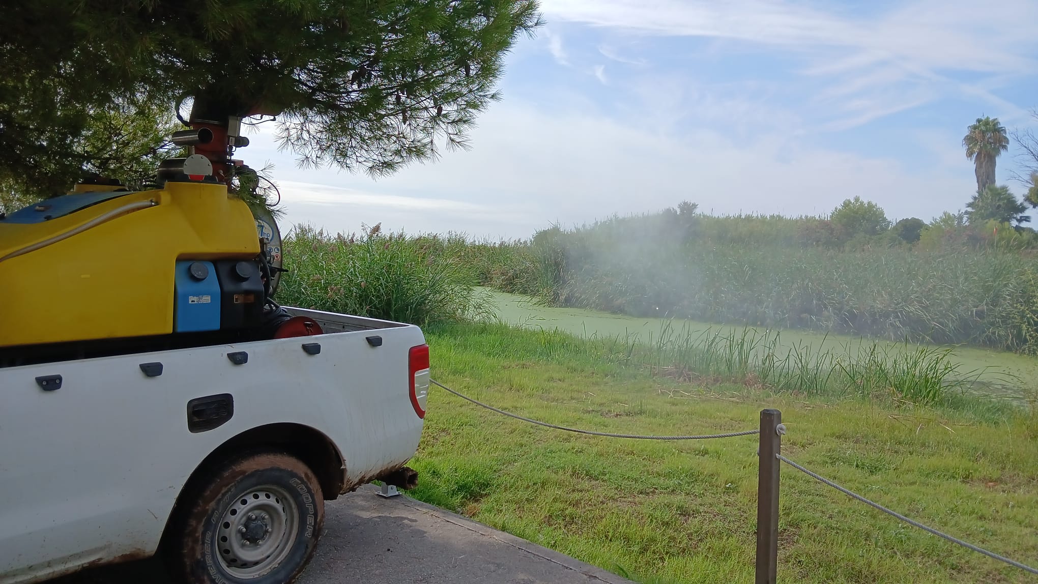 La Diputació intensifica després de les pluges la vigilància i control de les poblacions de mosquits