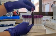 Prop de 44.500 persones formen part del registre de donants de medul·la òssia de la Comunitat Valenciana