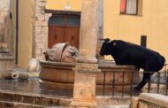 VOX exigix a l'alcaldessa de Sant Mateu que protegisca la Font de Sta. Maria després que un bou la trencara