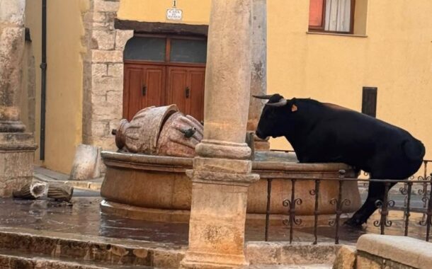 VOX exigix a l'alcaldessa de Sant Mateu que protegisca la Font de Sta. Maria després que un bou la trencara