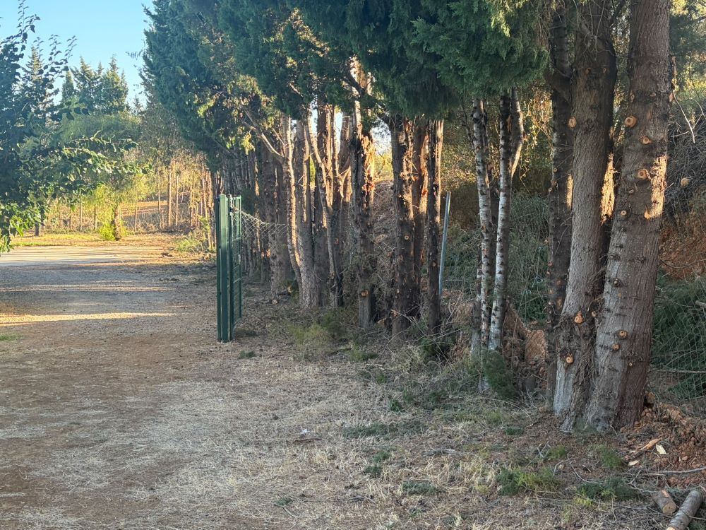 Santa Magdalena desbrossa la interfície urbana per a previndre riscos forestals