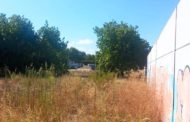 Benigazlum Tot per Benicarló aposta per una estació d'autobusos «amb vocació comarcal»