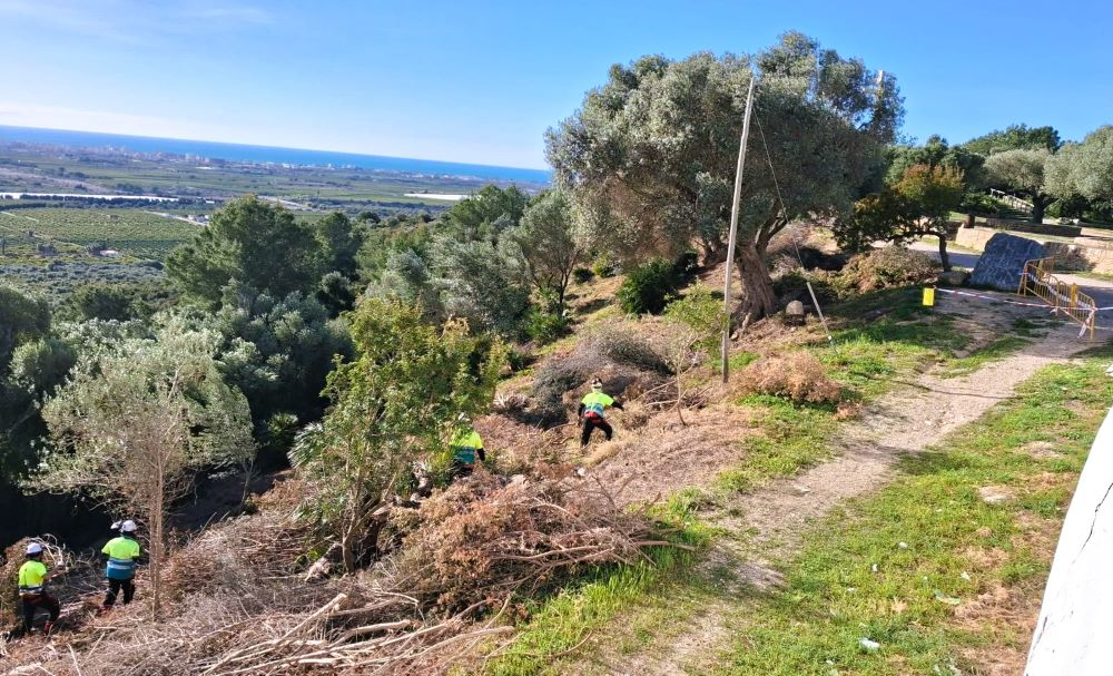 Vinaròs rep una subvenció de 5.423 euros per a reforçar la prevenció d’incendis forestals