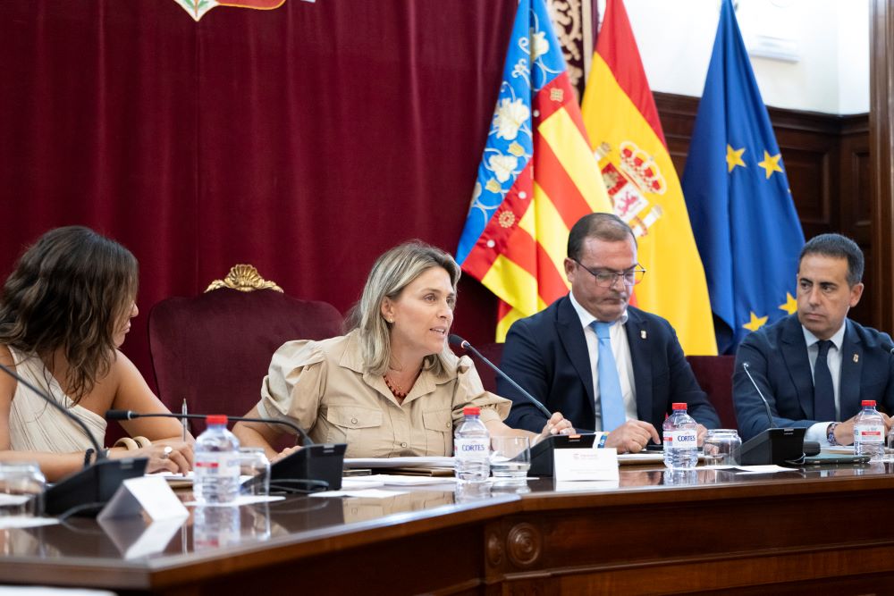La Diputació s'unix per a reclamar un servei ferroviari digne i adaptat a les necessitats de la província