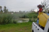 La Diputació destaca el treball del Servei de Control de Mosquits que manté les poblacions controlades