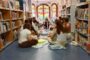 La Biblioteca Municipal de Vinaròs ofereix 16 activitats per al públic infantil i familiar